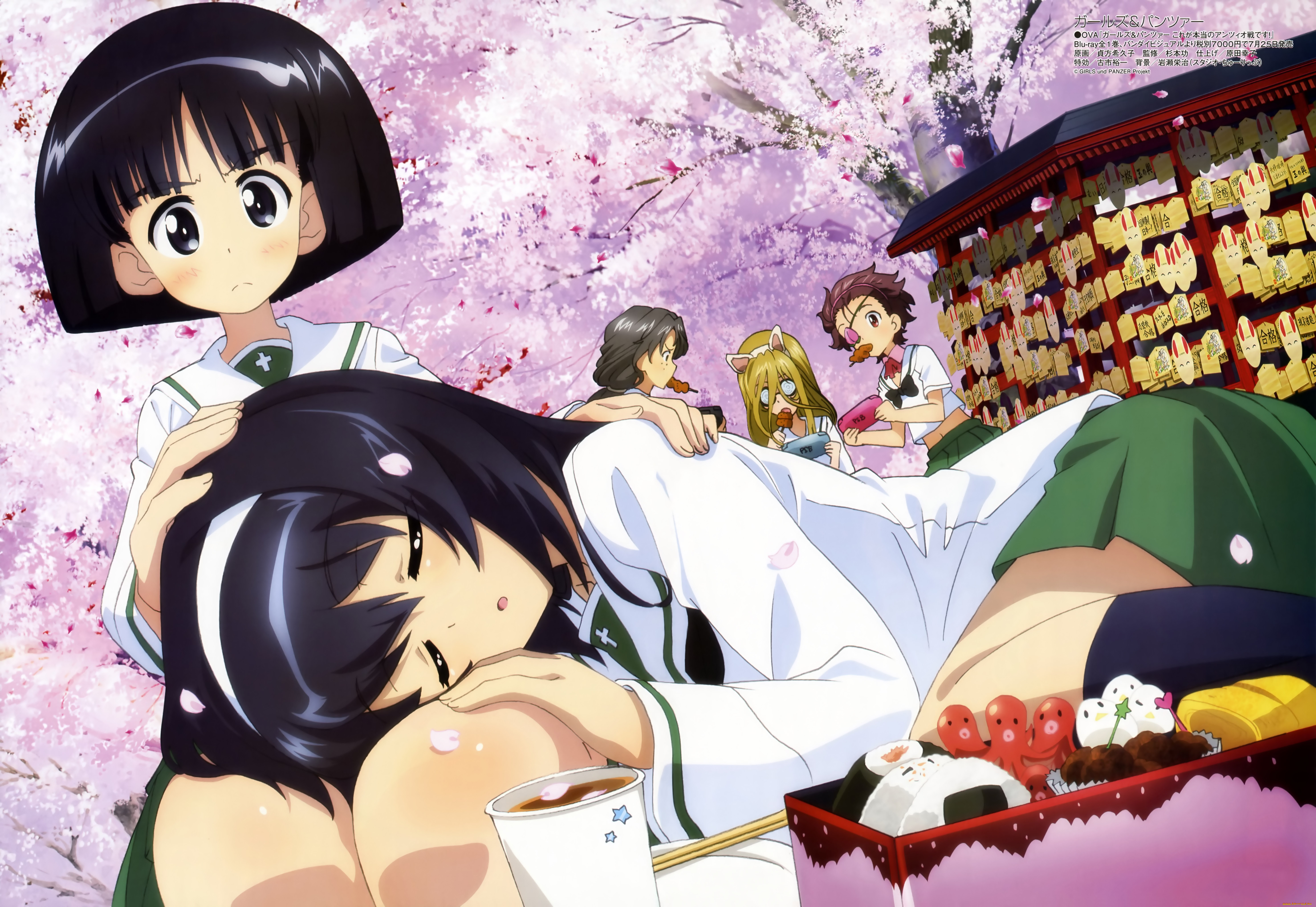 , girls und panzer, , , 
